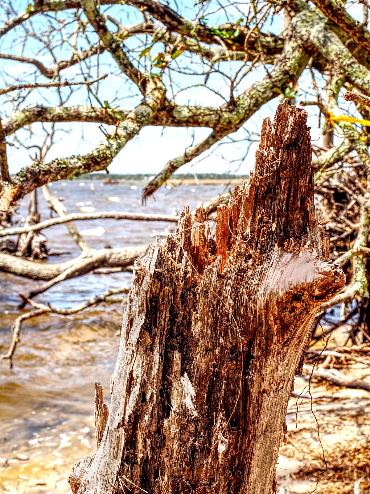 Land and Sea 3